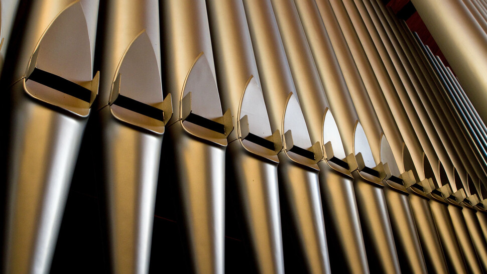 Organ humidification and humidity control Organ humidification and humidity control